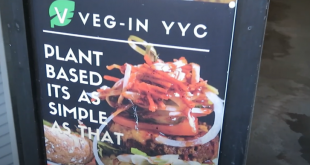Veg In YYC Calgary Vegan Restaurant